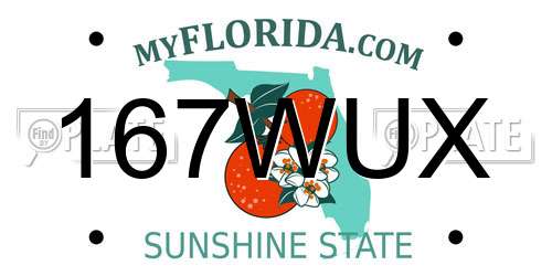167WUX Florida License Plate