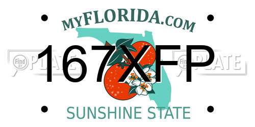 167XFP Florida License Plate