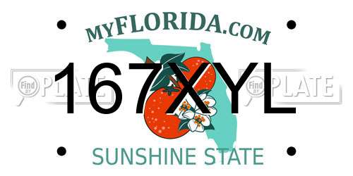 167XYL Florida License Plate