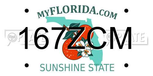 167ZCM Florida License Plate
