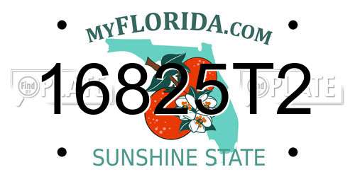 16825T2 Florida License Plate