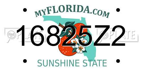 16825Z2 Florida License Plate