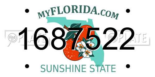 1687522 Florida License Plate