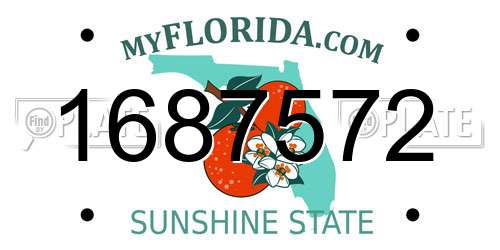 1687572 Florida License Plate