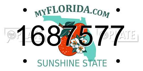 1687577 Florida License Plate