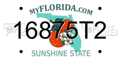 16875T2 Florida License Plate