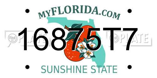 16875T7 Florida License Plate