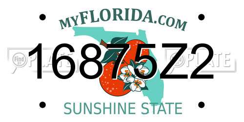 16875Z2 Florida License Plate