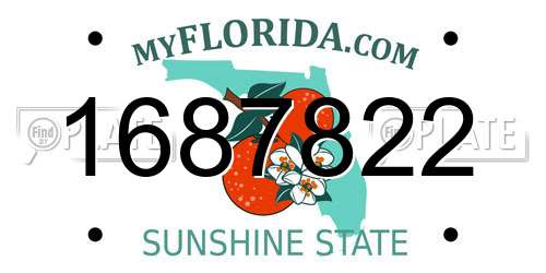 1687822 Florida License Plate