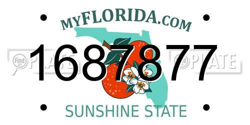 1687877 Florida License Plate
