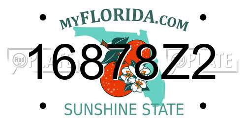 16878Z2 Florida License Plate