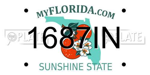 1687IN Florida License Plate