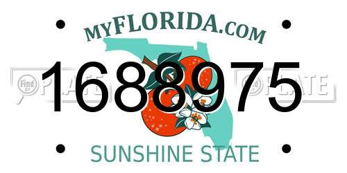 1688975 Florida License Plate