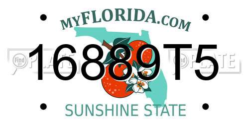 16889T5 Florida License Plate