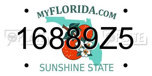 16889Z5 Florida License Plate