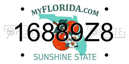 16889Z8 Florida License Plate