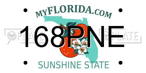 168PNE Florida License Plate