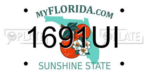 1691UI Florida License Plate