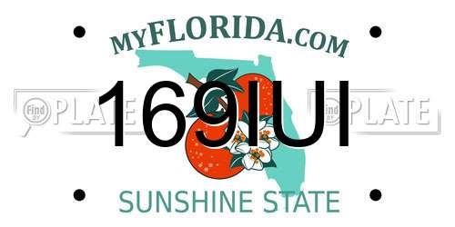 169IUI Florida License Plate