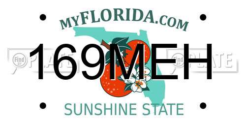 169MEH Florida License Plate