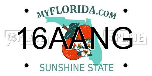 16AANG Florida License Plate