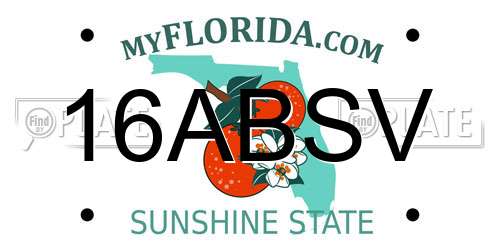 16ABSV Florida License Plate