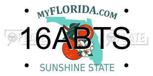 16ABTS Florida License Plate