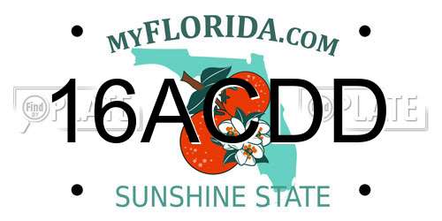 16ACDD Florida License Plate