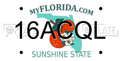 16ACQL Florida License Plate