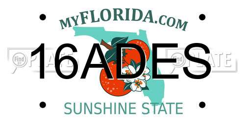 16ADES Florida License Plate