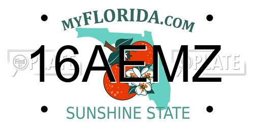 16AEMZ Florida License Plate