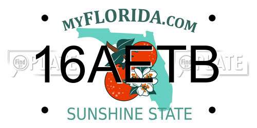 16AETB Florida License Plate