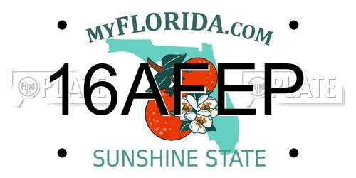 16AFEP Florida License Plate