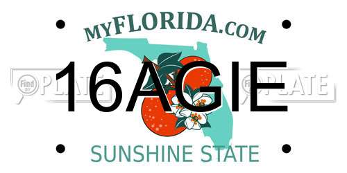 16AGIE Florida License Plate