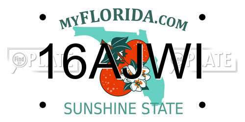 16AJWI Florida License Plate