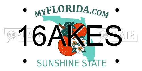 16AKES Florida License Plate