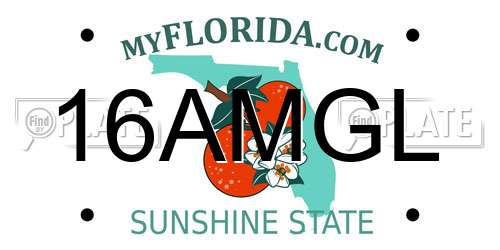 16AMGL Florida License Plate