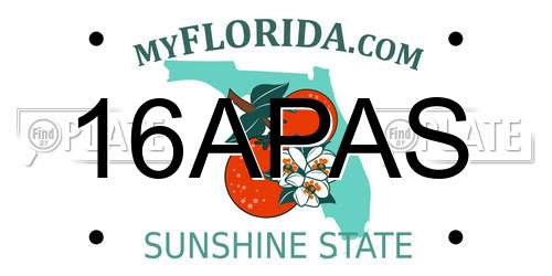 16APAS Florida License Plate