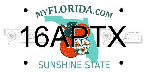 16APTX Florida License Plate