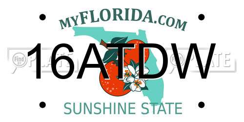 16ATDW Florida License Plate