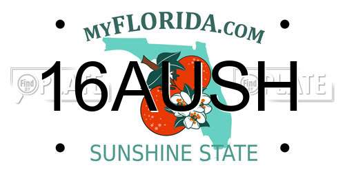16AUSH Florida License Plate