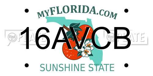 16AVCB Florida License Plate