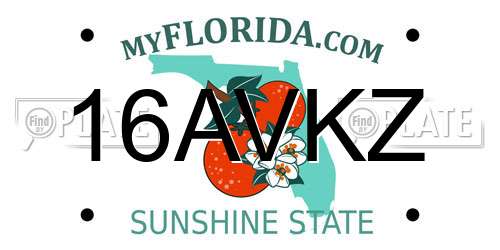 16AVKZ Florida License Plate