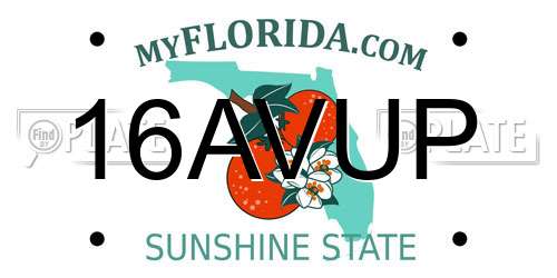 16AVUP Florida License Plate
