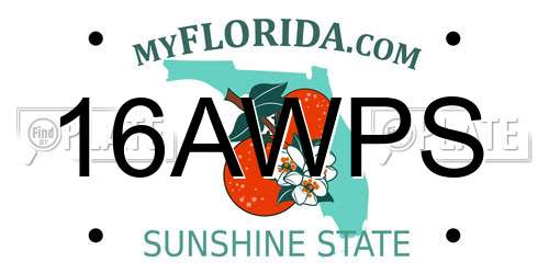 16AWPS Florida License Plate