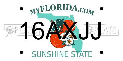 16AXJJ Florida License Plate