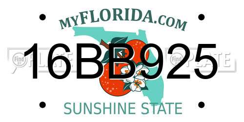 16BB925 Florida License Plate