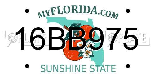 16BB975 Florida License Plate
