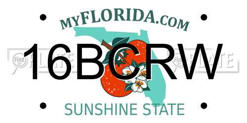 16BCRW Florida License Plate