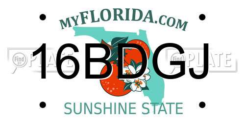 16BDGJ Florida License Plate